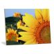Ceramic Sublimation Tile 6