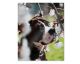 Chromaluxe Al Gloss White Photo Panel 30X30 10 Per Case