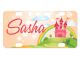 UNISUB MINI LICENSE PLATE FRAME 2.94X5.88 50 PER CASE