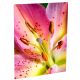 CHROMALUXE OUTDOOR MATTE WHITE PHOTO PANEL 20X30 10 PER CASE